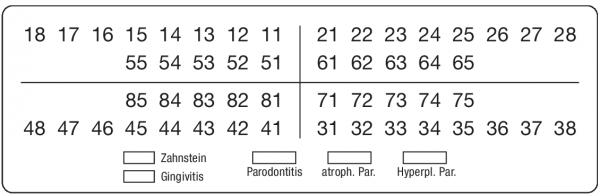 01-Befund (30 x 95 mm)