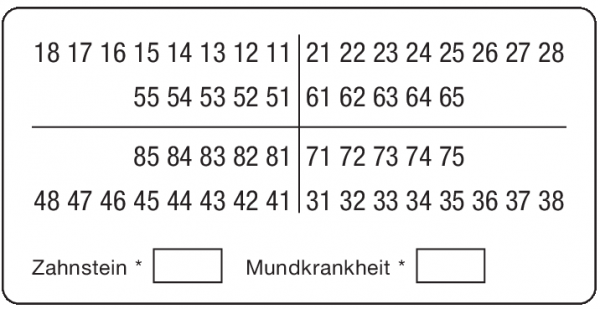 01-Befund (30 x 60 mm)