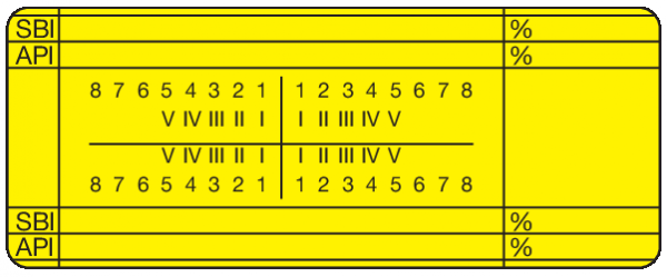 SBI % API % 01-Befund (20 x 50 mm)