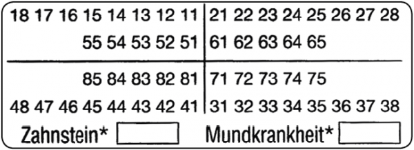 01-Befund (20 x 55 mm)