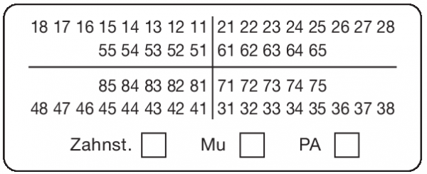 01-Befund (20 x 50 mm)