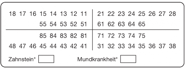 01-Befund (25 x 70 mm)