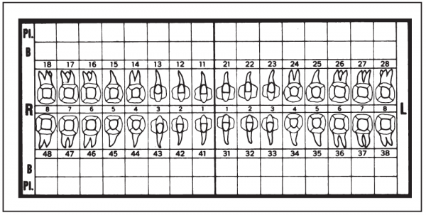 01-Befund (40 x 80 mm)