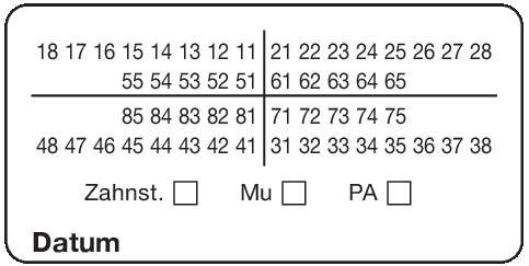 01-Befund (20 x 40 mm)