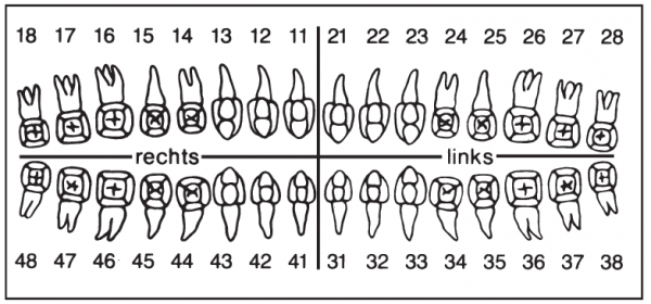 01-Befund (30 x 65 mm)