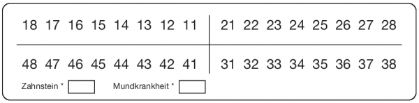 01-Befund (20 x 80 mm)