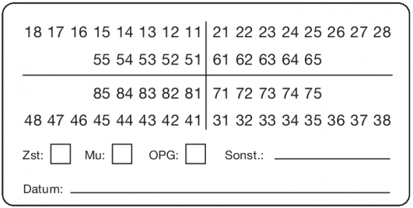 01-Befund (30 x 60 mm)