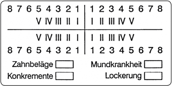 01-Befund (30 x 60 mm)