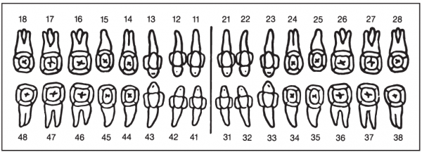 01-Befund (30 x 85 mm)