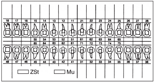 01-Befund (40 x 75 mm)