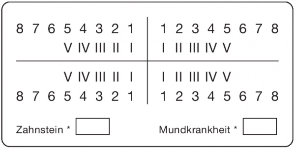 01-Befund (30 x 60 mm)