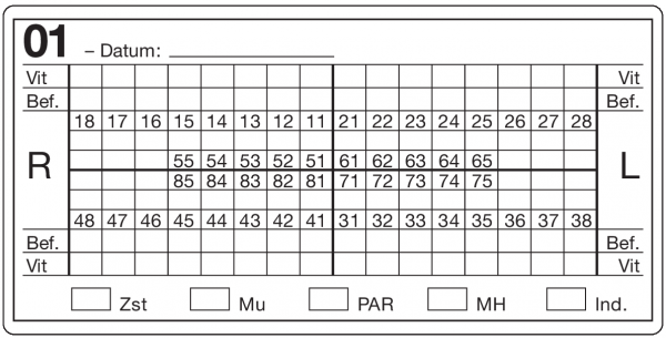 01-Befund (50 x 100 mm)