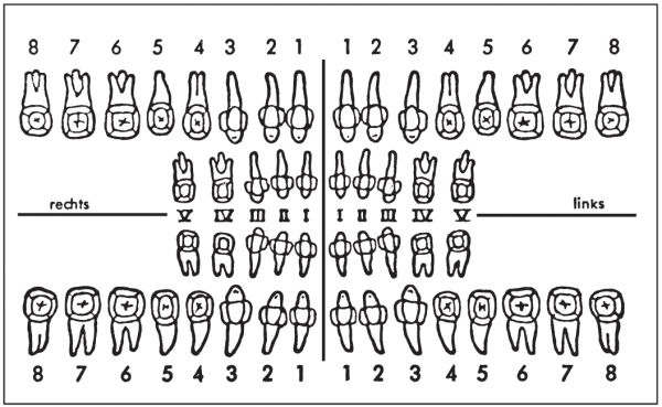 01-Befund (55 x 90 mm)