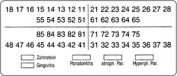 01-Befund (30 x 70 mm)