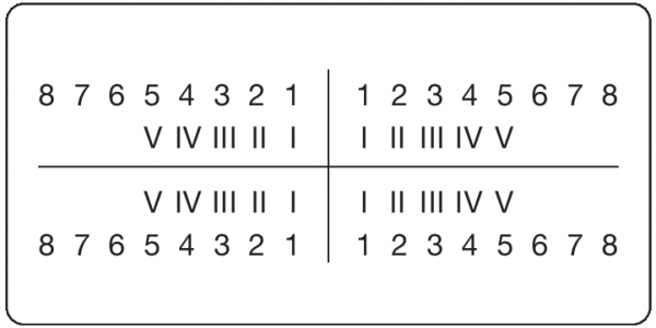 01-Befund (30 x 60 mm)