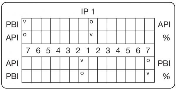 PBI..IP..API... (30 x 60 mm)