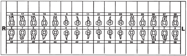 01-Befund (30 x 90 mm)