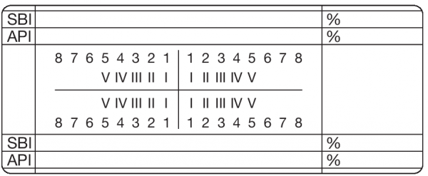 SBI % API % 01-Befund (30 x 70 mm)