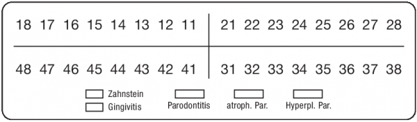 01-Befund (20 x 70 mm)