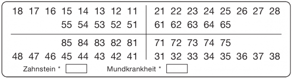 01-Befund (25 x 95 mm)