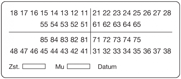 01-Befund (30 x 70 mm)