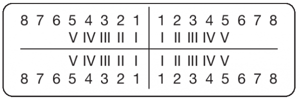 01-Befund (15 x 50 mm)