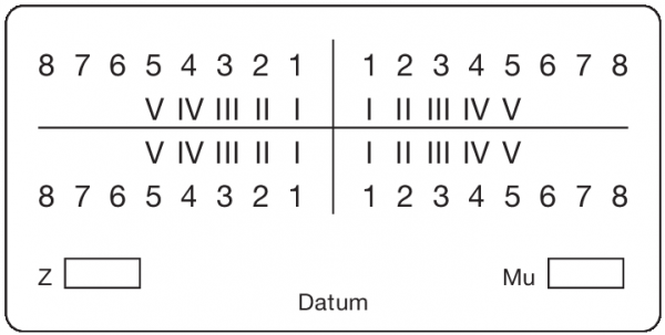 01-Befund (30 x 60 mm)