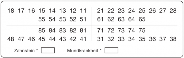 01-Befund (30 x 95 mm)